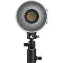 RC 60B COB LED Video Light 4376